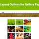 Illustration for article titled Best WordPress Theme for Organic Sotre, Farm Foodem/em